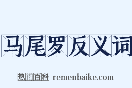 马尾罗反义词是什么意思的图片